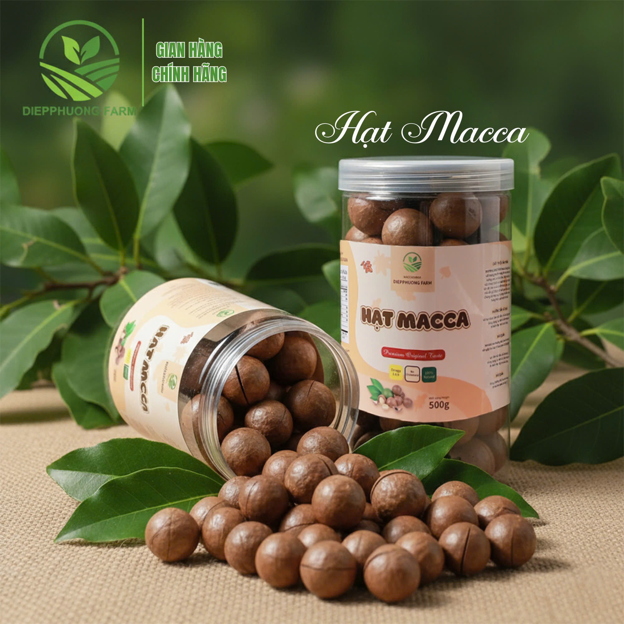 Hạt macca nứt vỏ